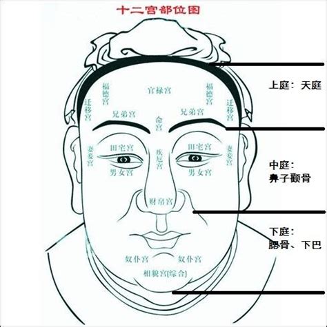 额头高面相男|额头饱满的男人面相